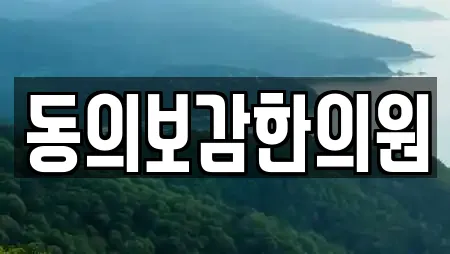 동의보감한의원