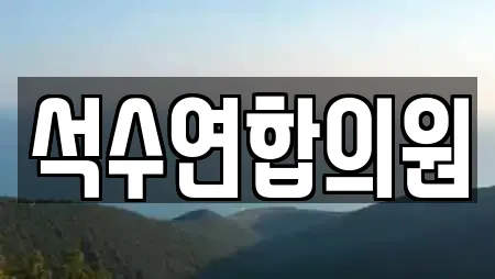 석수연합의원