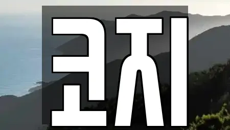 코지