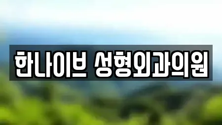 한나이브 성형외과의원