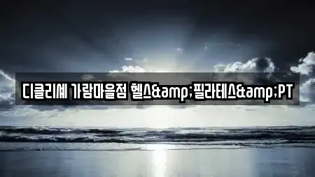 디클리셰 가람마을점 헬스&필라테스&PT