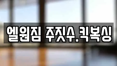 엘원짐 주짓수.킥복싱