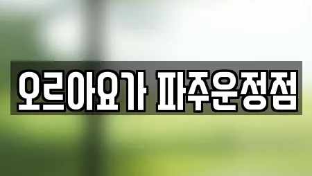 오르아요가 파주운정점