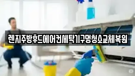 렌지주방후드에어컨세탁기구멍청소교체복원