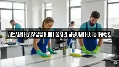 시트지제거,사무실철거,폐기물처리,곰팡이제거,비둘기똥청소