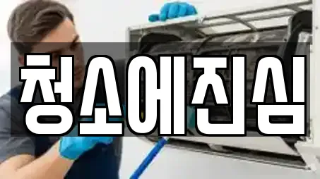 청소에진심