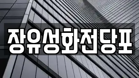 장유성화전당포