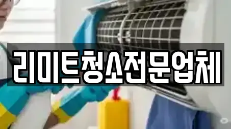 리미트청소전문업체