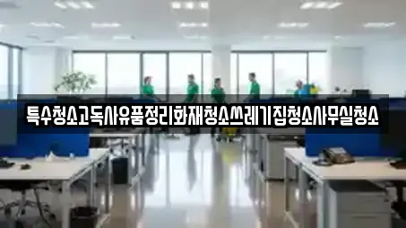 특수청소고독사유품정리화재청소쓰레기집청소사무실청소