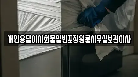 개인용달이사화물일반포장원룸사무실보관이사