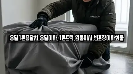 용달1톤용달차,용달이사,1톤트럭,원룸이사,반포장이사화물