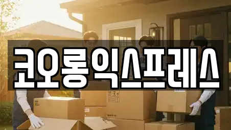 코오롱익스프레스