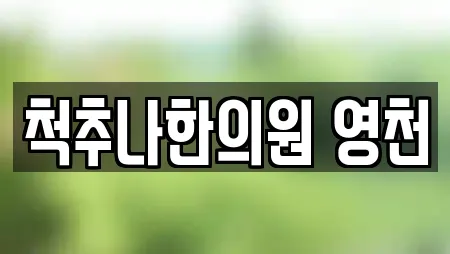 척추나한의원 영천