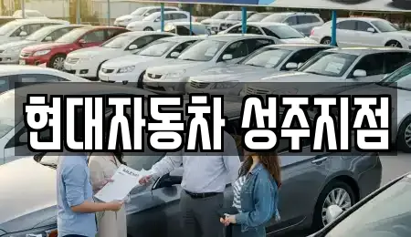 현대자동차 성주지점
