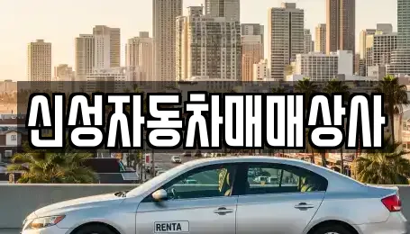 신성자동차매매상사