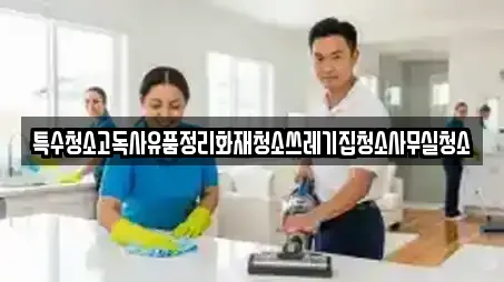 특수청소고독사유품정리화재청소쓰레기집청소사무실청소