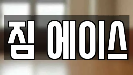 짐 에이스