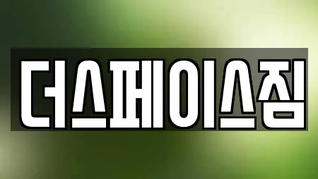 더스페이스짐
