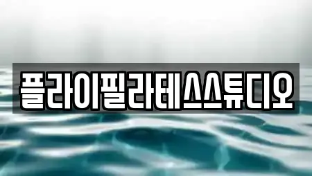 플라이필라테스스튜디오