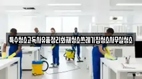특수청소고독사유품정리화재청소쓰레기집청소사무실청소