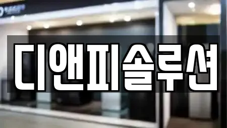 디앤피솔루션