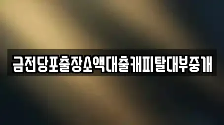 금전당포출장소액대출캐피탈대부중개
