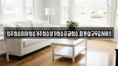 광주광역시 광산구 선동 입주청소 정보 7곳