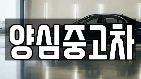 양심중고차
