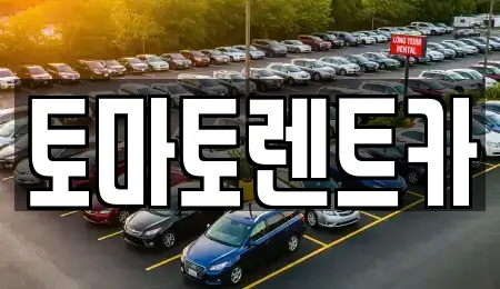 토마토렌트카