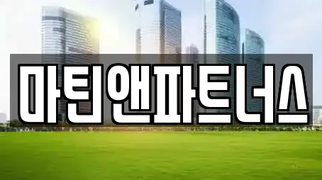 마틴앤파트너스