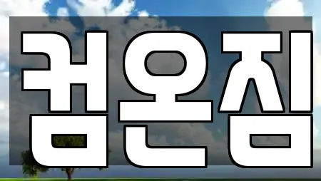 컴온짐