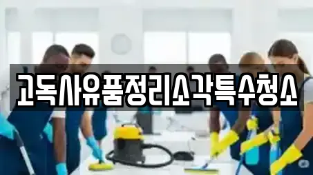 고독사유품정리소각특수청소