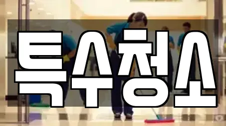 특수청소