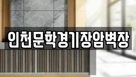 인천문학경기장암벽장