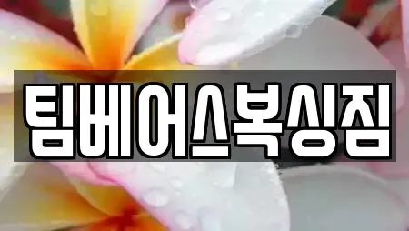팀베어스복싱짐