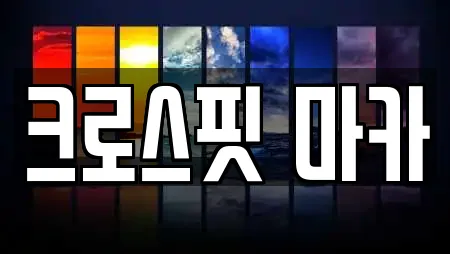 헬스장 in 대구 대림동 11업체정보