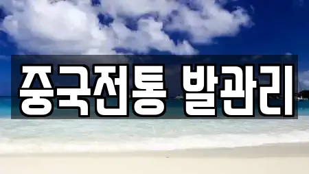 중국전통 발관리