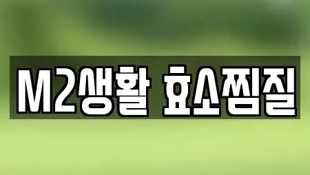 M2생활 효소찜질