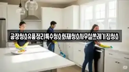 공장청소유품정리특수청소화재청소사무실쓰레기집청소