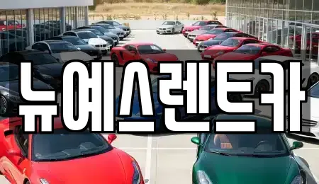 뉴예스렌트카