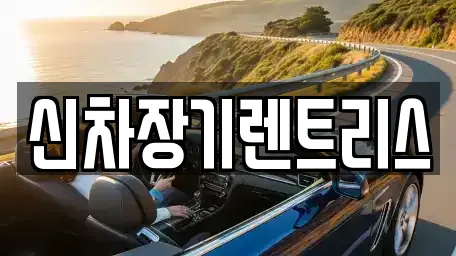 신차장기렌트리스