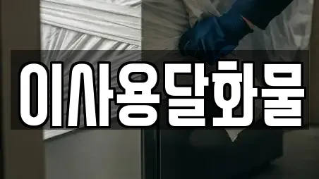 이사용달화물