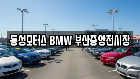 동대신동1가 가까운 자동차전시장,렌트카,장기렌트카,중고차 10