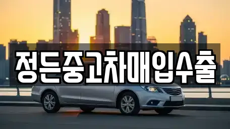 동량면 전문 중고차,자동차전시장,렌트카,장기렌트카 업체 11 위치