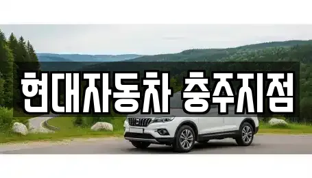 현대자동차 충주지점