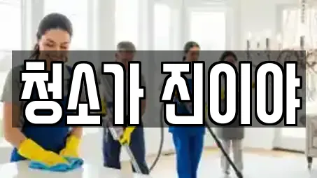 청소가 진이야