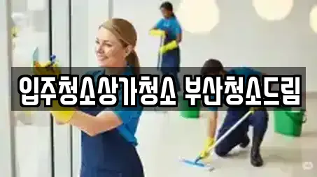 입주청소상가청소 부산청소드림