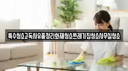 특수청소고독사유품정리화재청소쓰레기집청소사무실청소