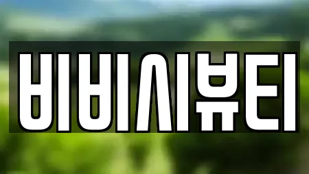 비비시뷰티