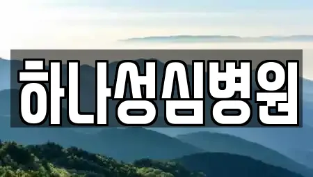 하나성심병원